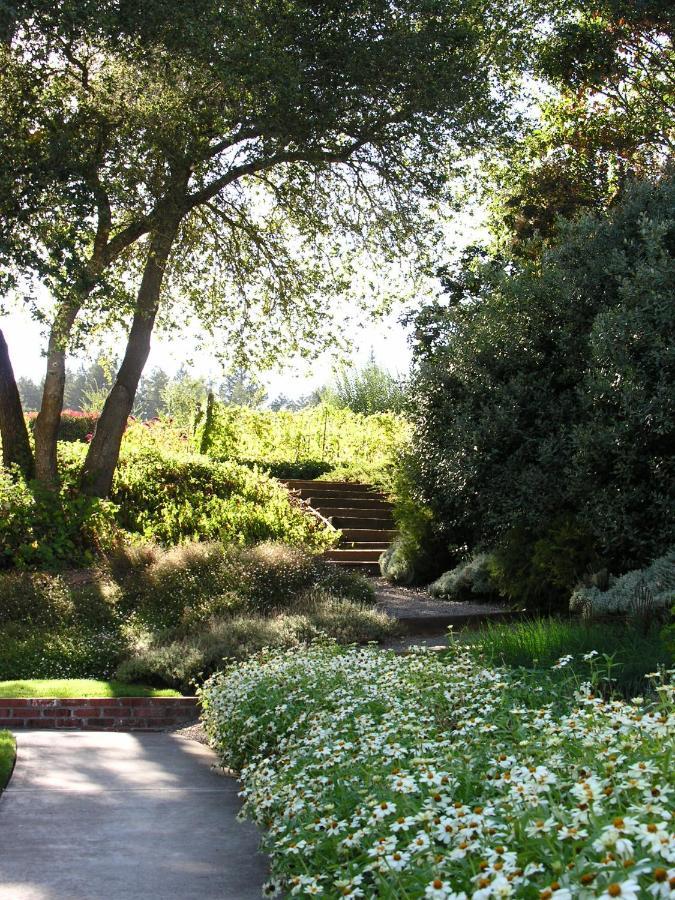 Madrona Manor Hotel Healdsburg Kültér fotó